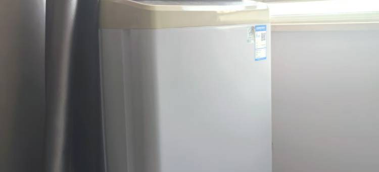 梧桐树(保定东站河大新区店)图片
