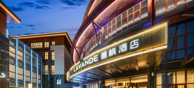 麗枫酒店(登封嵩山少林文旅服务中心店)图片