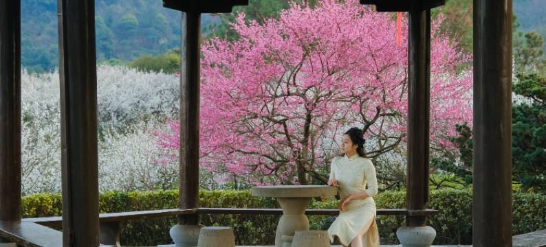 杭州水墨蓉庄私家园林酒店(超山风景区店)图片