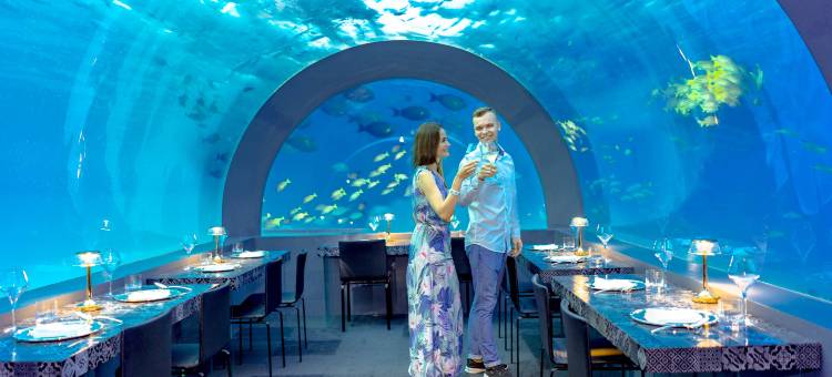 你&我马尔代夫酒店 - 仅限成人 - 尊享全包(You & Me Maldives  - Adults Only - Premium All-Inclusive)图片