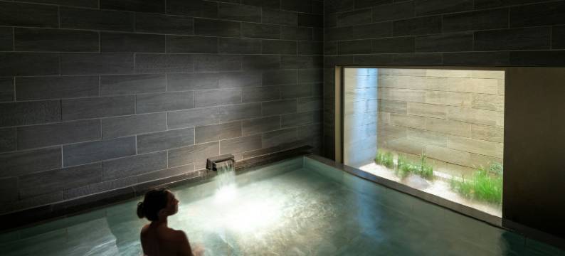 京都东山希尔顿逸林酒店(DoubleTree by Hilton Kyoto Higashiyama)图片