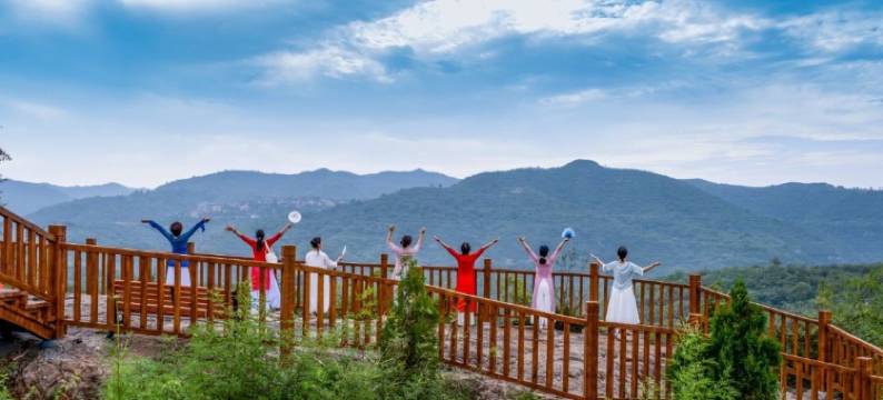 鹤壁伴山静居民宿图片