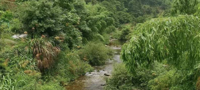 黄山君瑶客栈图片