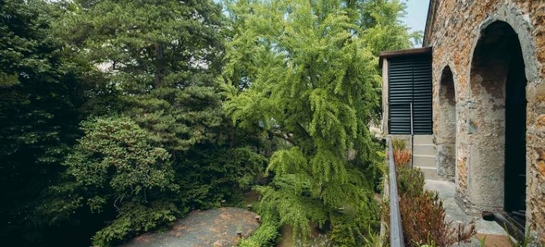 里昂巴布岛套房(Les Suites de l'Ile Barbe)图片