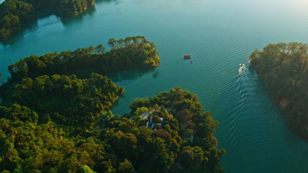 广州流溪河湖庐自然艺术空间图片