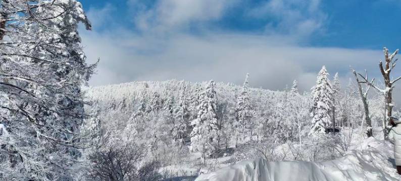 雪乡静雅居图片