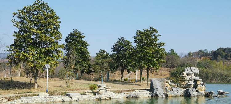 康呈山水客栈图片