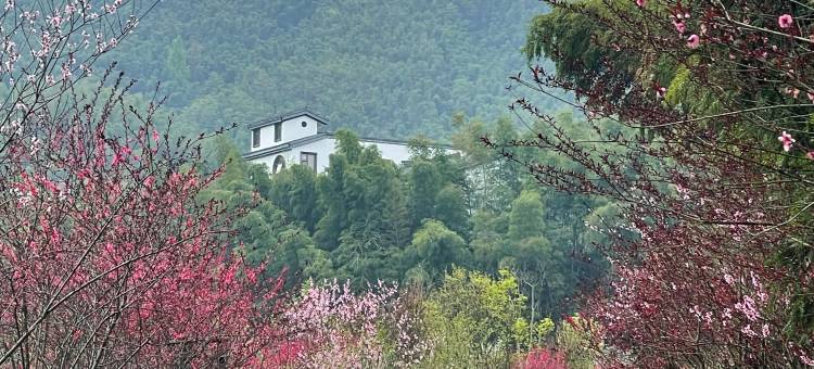 一如禅酒店图片