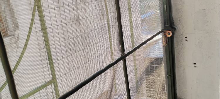 Wisma Orchid Homestay Tuaran图片