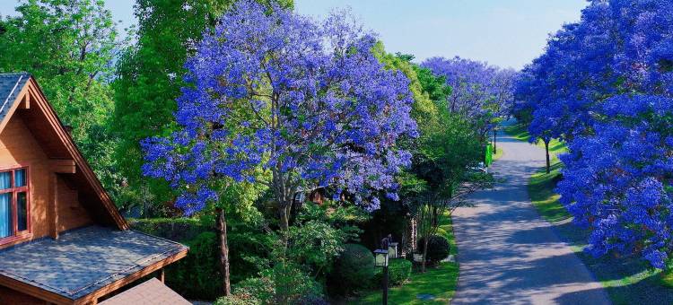 弥勒太平湖森林木屋酒店图片