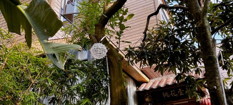 清远桃花壹号民宿图片