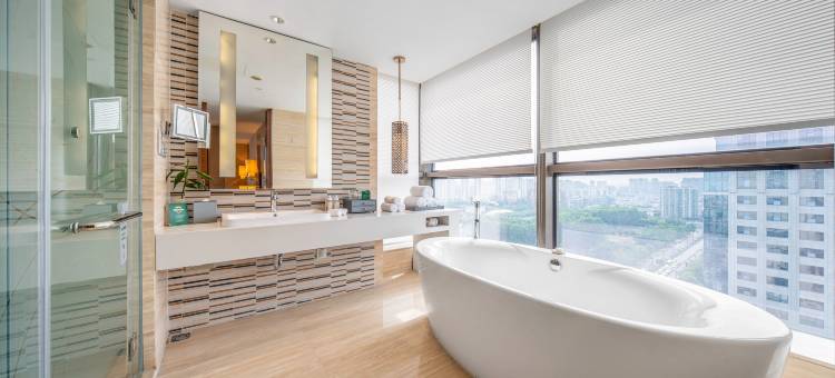 成都新都假日酒店图片