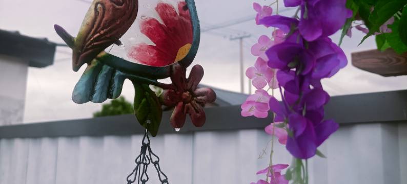 伊春晓院民宿图片