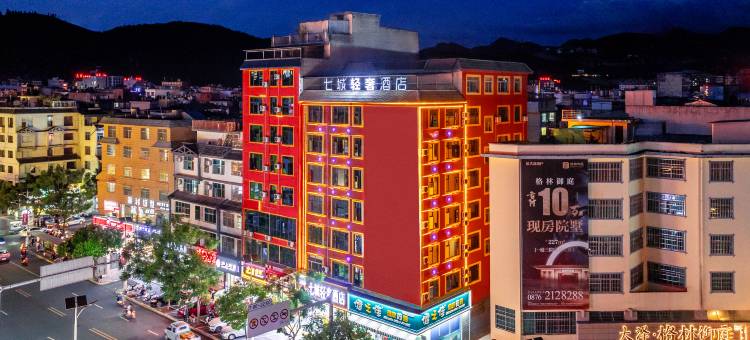 文山七城轻奢酒店(城南客运站三七国际交易市场店)图片