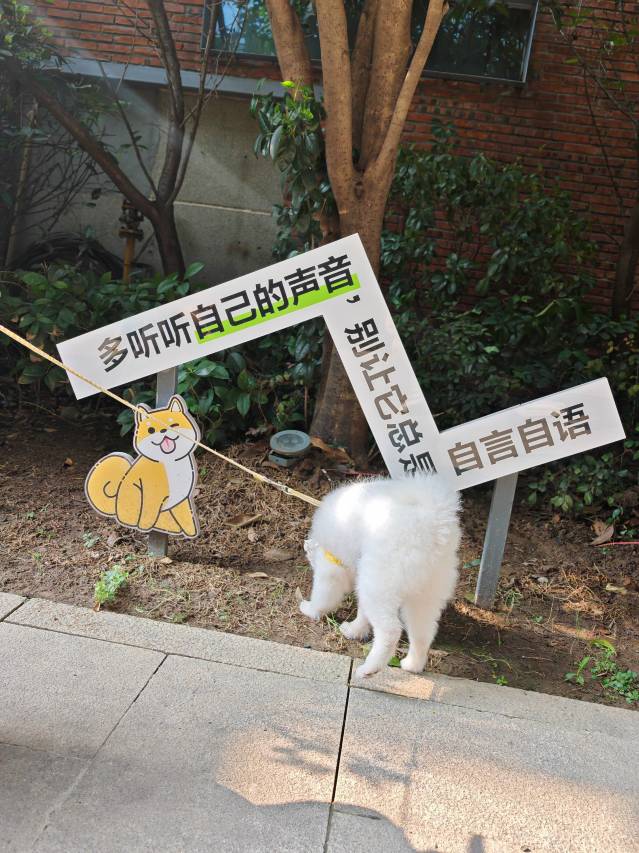 庭泊酒店(襄阳二汽悦活荟店)图片
