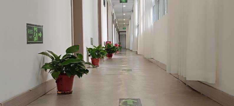 洛阳拾间庭院民宿(春都路店)图片