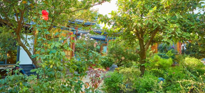 泽悦酒店(丽江古城区店)图片