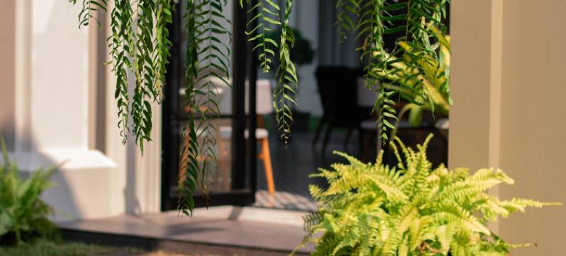 尤兰纳精品酒店(Eurana Boutique Hotel)图片