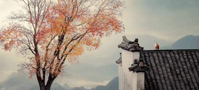 在旅途·崇志堂·古建TING庭院度假民宿(宏村景区店)图片