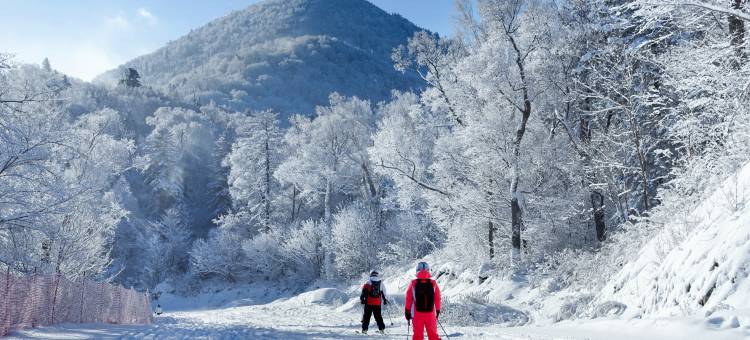 亚布力阳光假日酒店图片