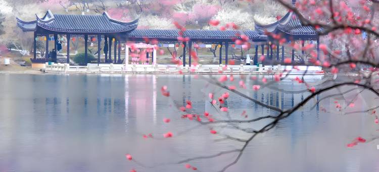 如家睿柏·云酒店(张家港金港中央广场店)图片