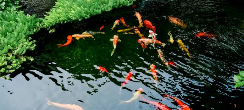 长兴石泉山房度假民宿·古典新中式设计师美宿图片