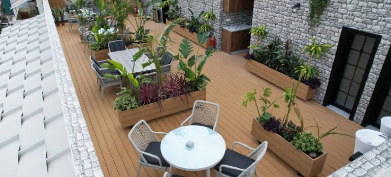 CC 豪华套房(CC LUX Suites)图片