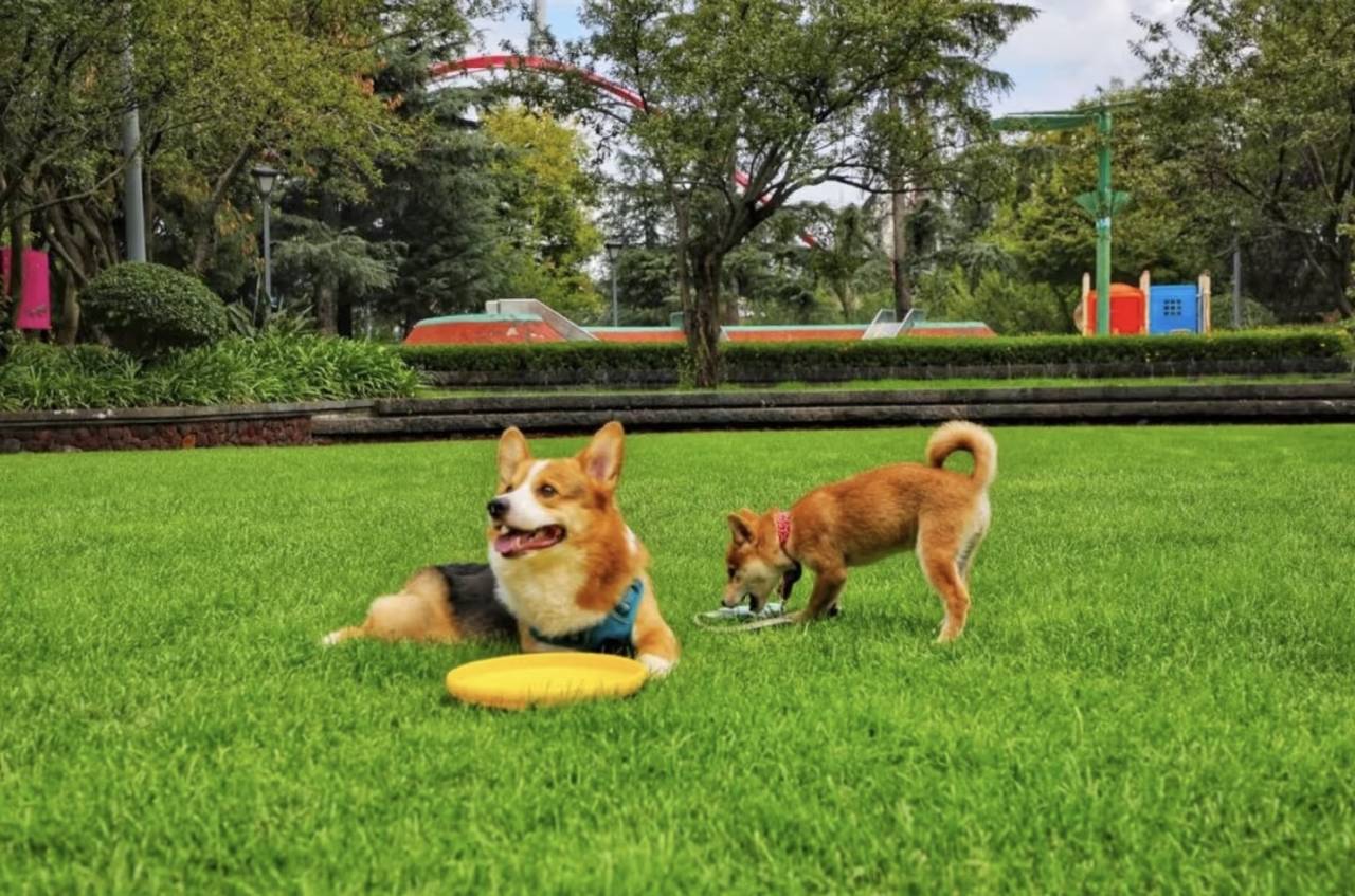 话题酒店(昆明嵩明杨林大学城店)图片