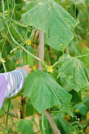 SLH·昆明玉龙湾湖景酒店图片