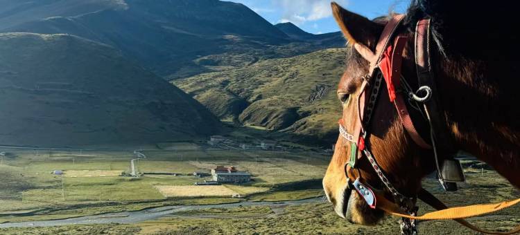 加楚庄园(冷嘎措店)图片