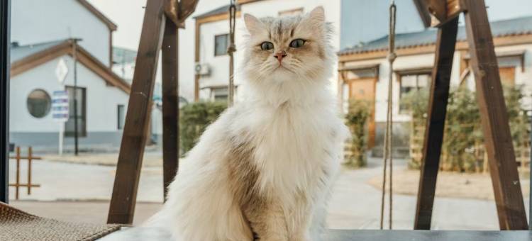 望园酒店(南京禄口国际机场金城学院店)图片