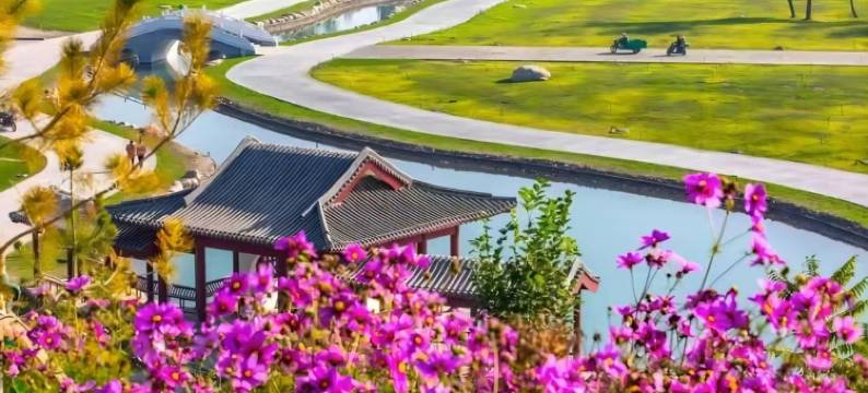 柏悦宾馆(新和友谊路店)图片