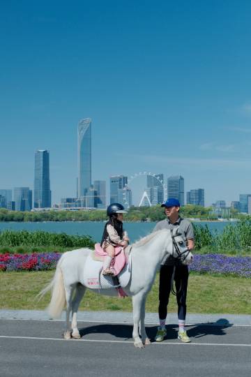 苏州四季酒店图片