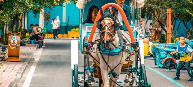 塞外・悠然丨Borderland・Epiphany艺术设计师网红民宿图片