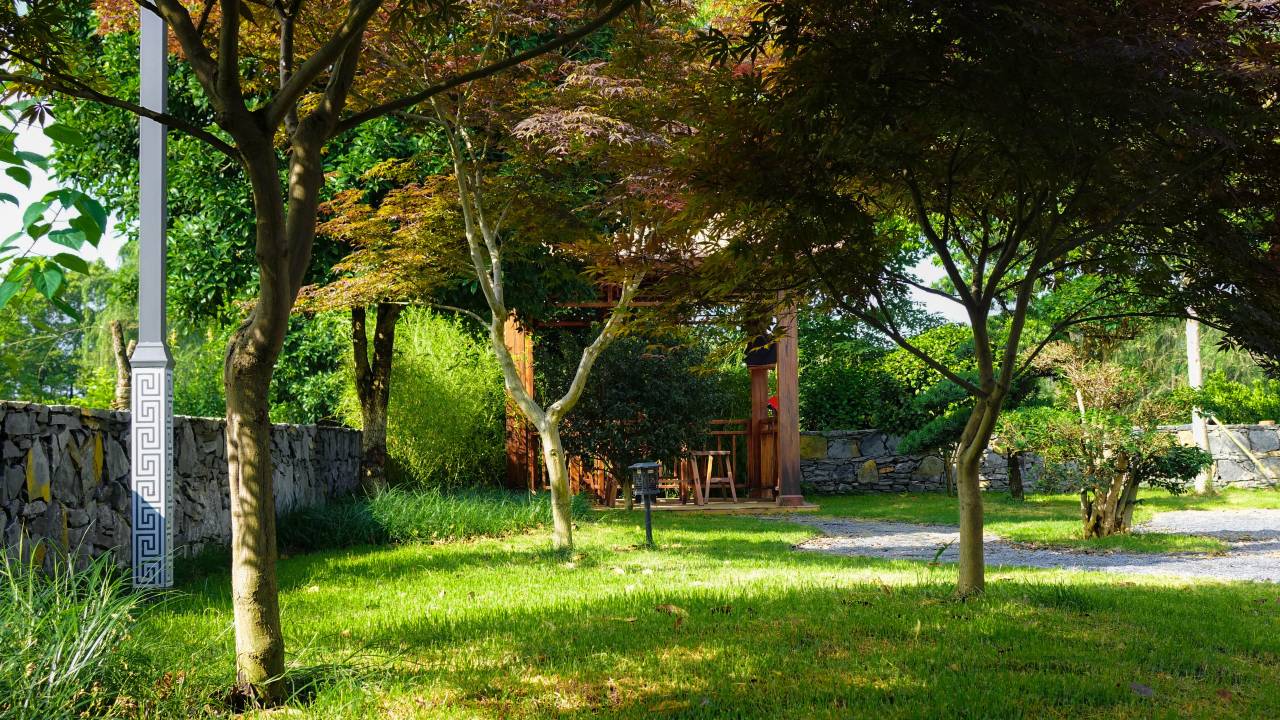 茶林居酒店图片