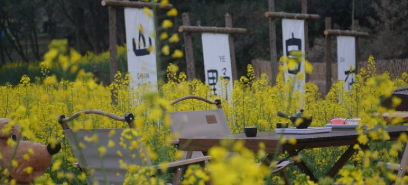 婺源·云上青野·Villa设计师美宿图片