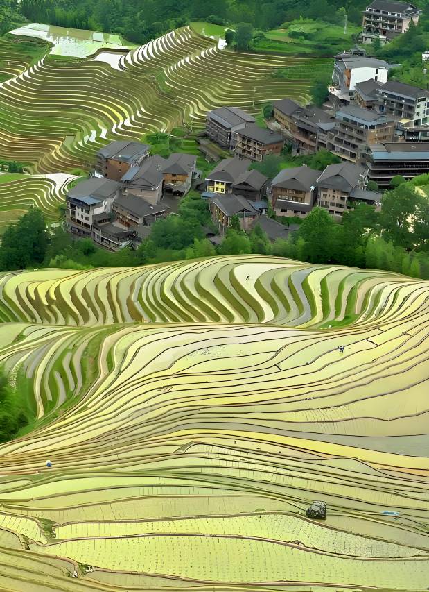 龙脊浣溪·揽月全景民宿(龙脊梯田千层天梯观景台店)图片