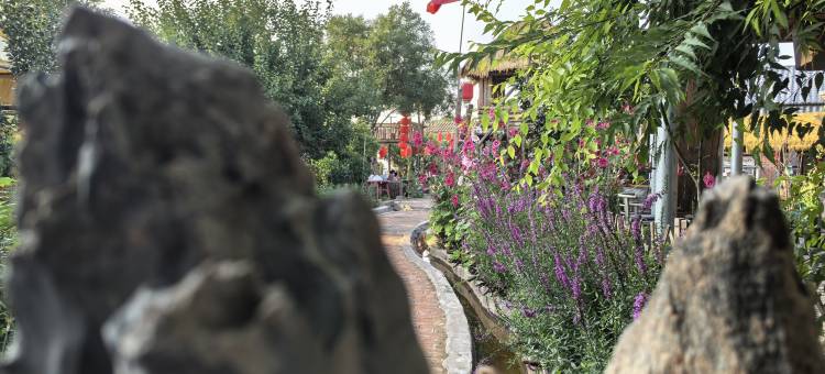 紫贝壳旅游民宿图片