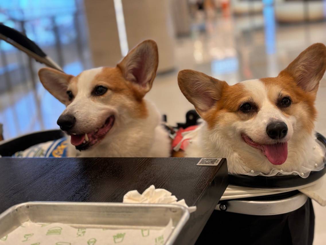 物华天阅酒店(中卫鼓楼南街店)图片