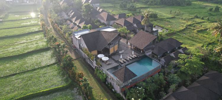 巴厘岛乌布比斯玛泰佳普拉纳(Tejaprana Bisma Ubud Bali)图片