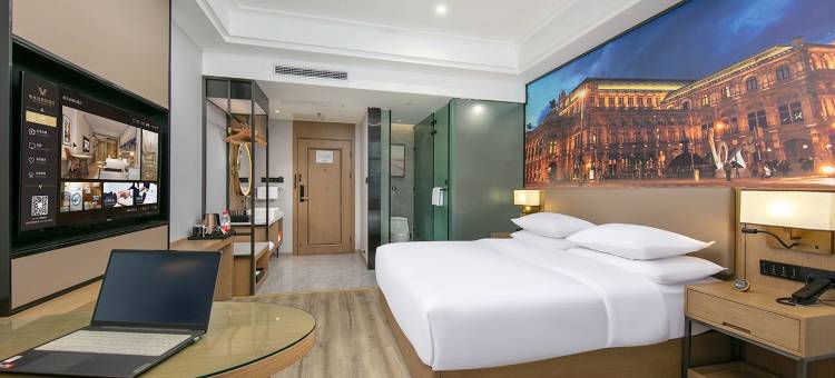 维也纳国际酒店(林芝墨脱店)图片