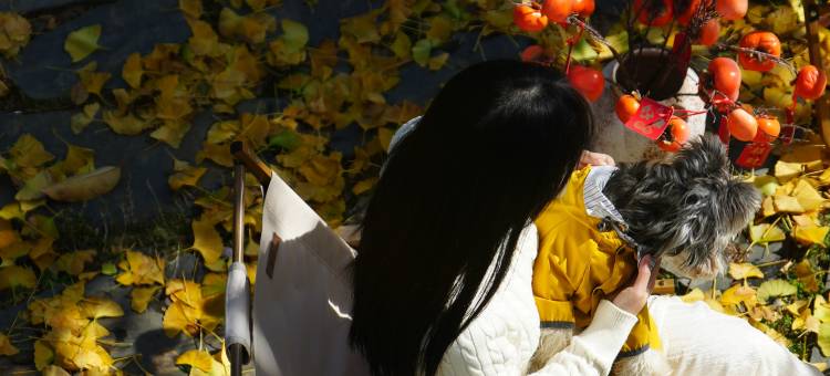 山间小住•Mountain︱花间漫野︱无边泳池隐奢美墅(韶山景区店)图片