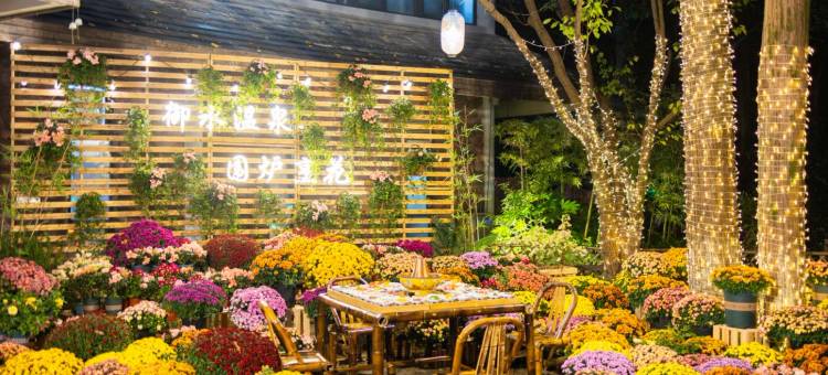 天目湖御水温泉·森酒店图片