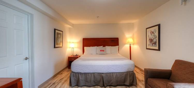 OYO纽波特旅馆-101号高速公路(Newport Inn by OYO - Hwy 101)图片