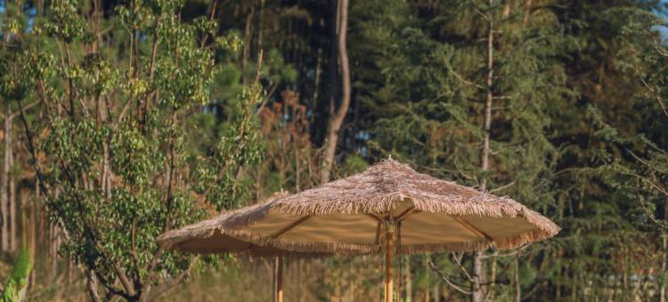 安吉二月花汤泉度假酒店图片