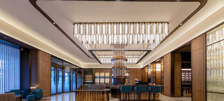 广州长隆万博中心桔子水晶酒店图片