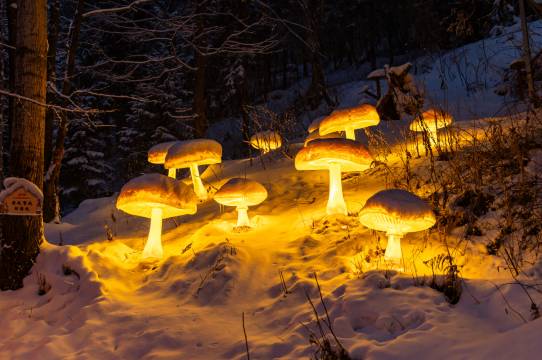 花筑·梦幻家园客栈(雪韵大街店)图片
