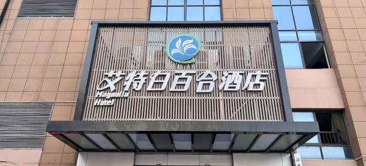 艾特白百合酒店(集贤路新型家园店)图片