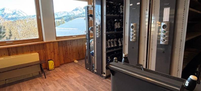 库尔舍维勒1850水晶酒店(Crystal Hotel Courchevel 1850)图片