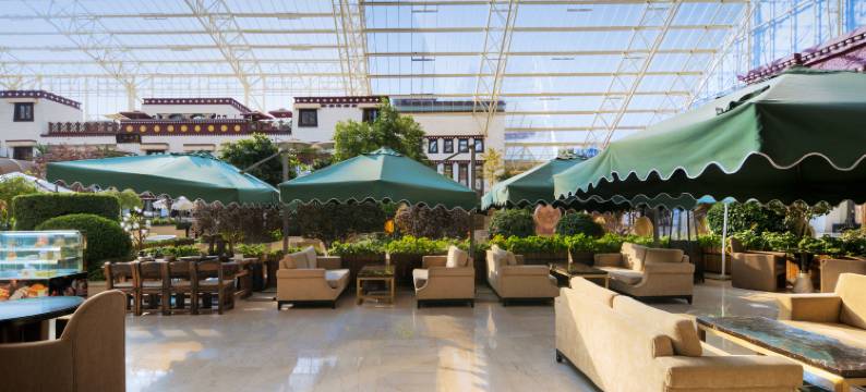 拉萨圣地天堂洲际大饭店图片